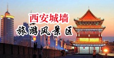 黑人性插入,动态视频中国陕西-西安城墙旅游风景区